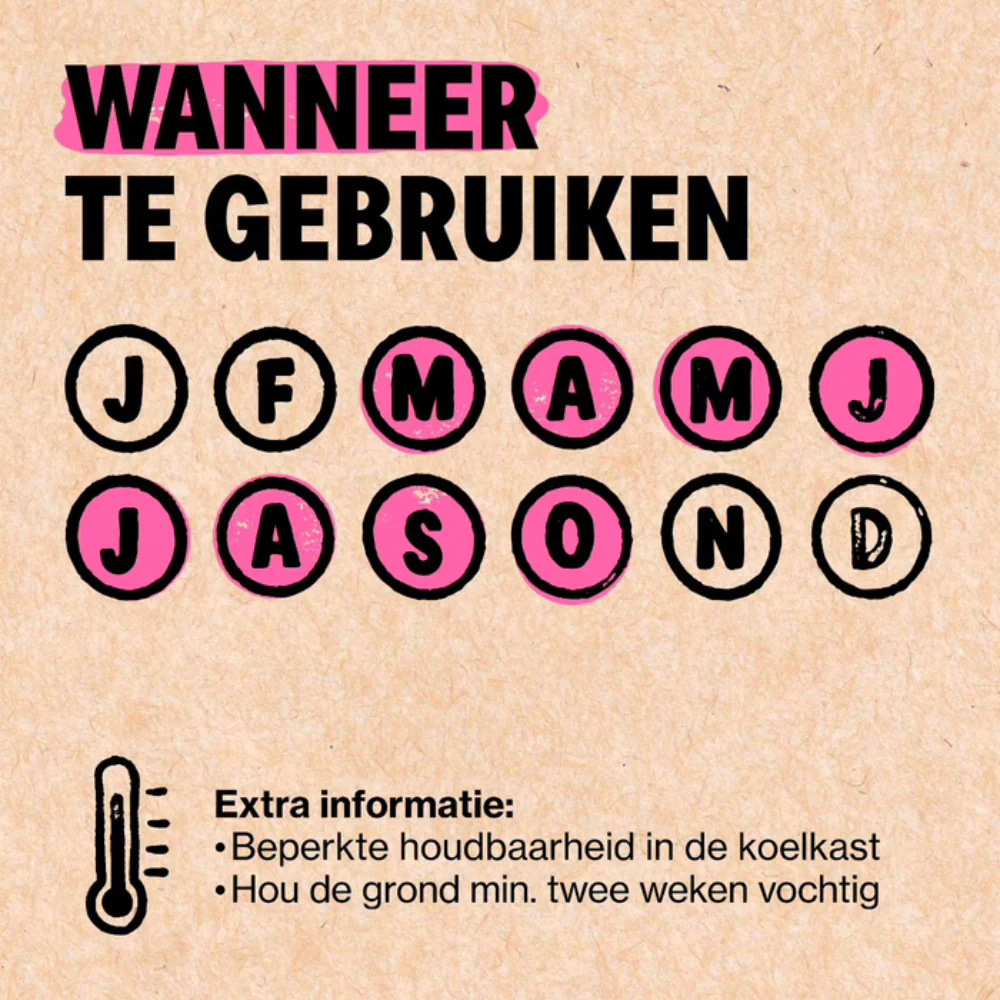 Productafbeelding 4