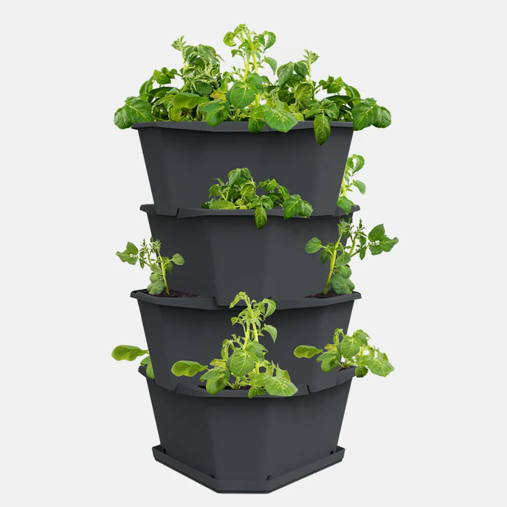 Miniatuur 1