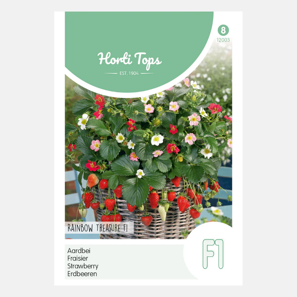 Miniatuur 1