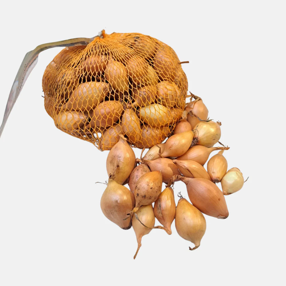 Miniatuur 2