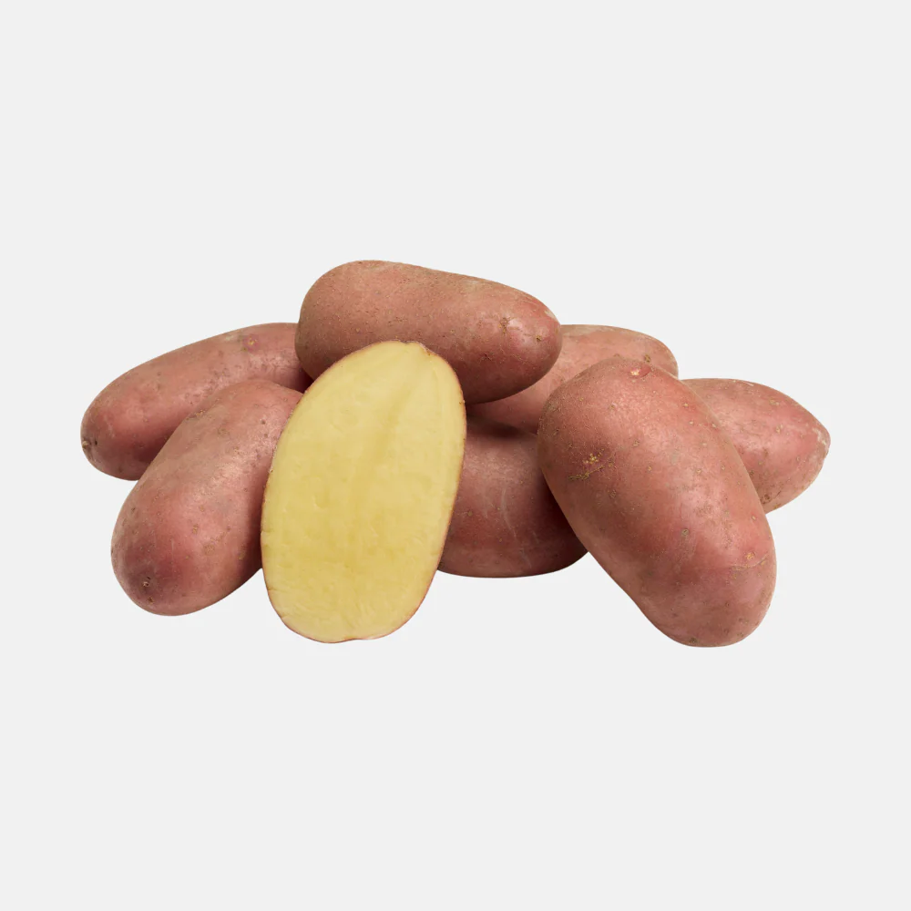 Productafbeelding 1