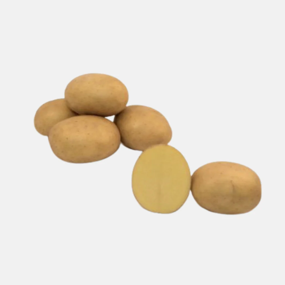 Productafbeelding 1