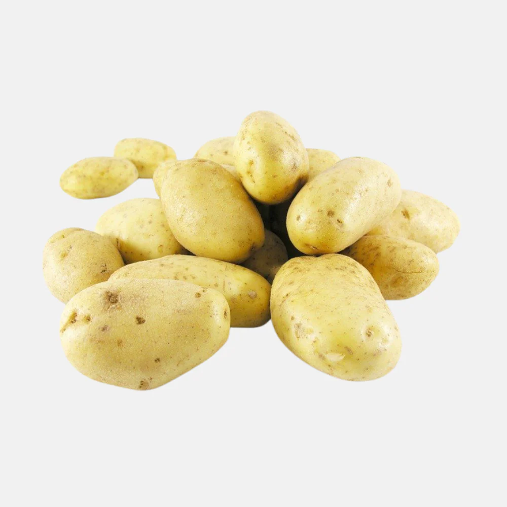Miniatuur 1
