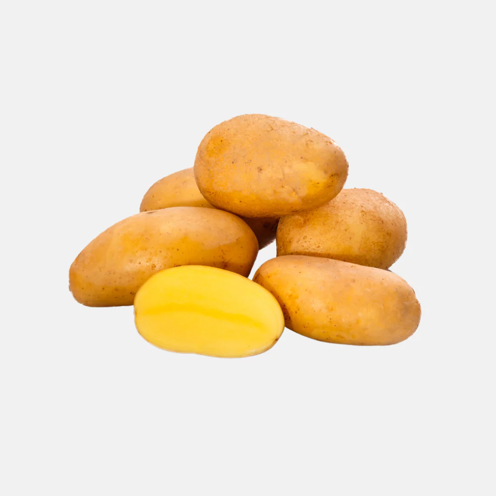 Miniatuur 1