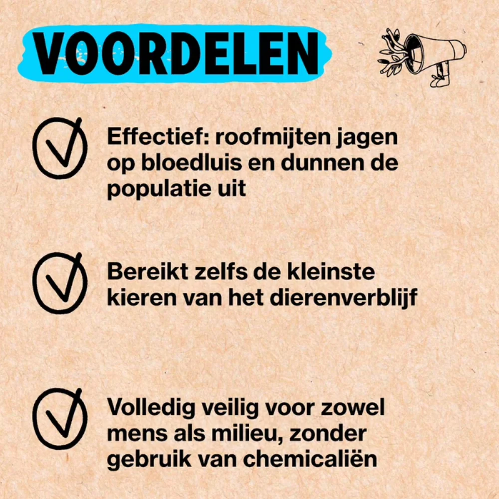 Productafbeelding 5