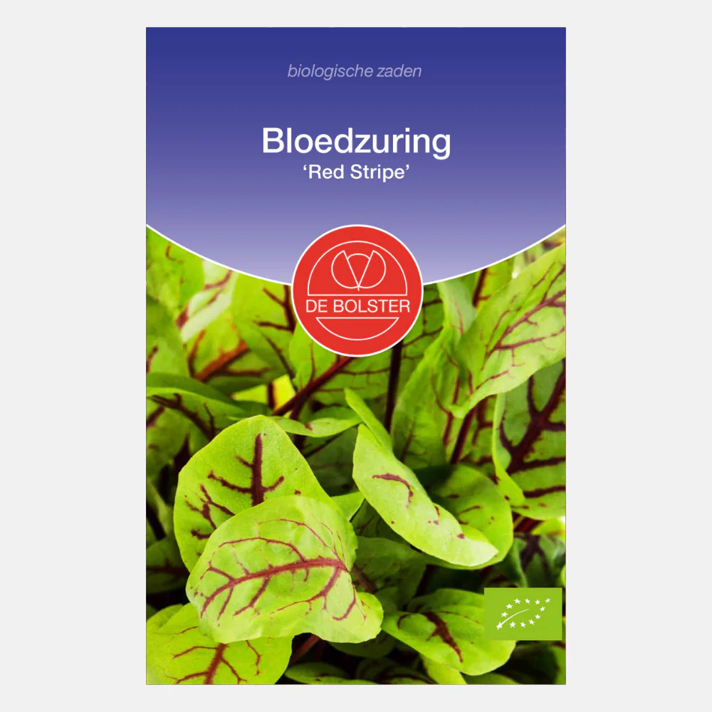 Productafbeelding 1