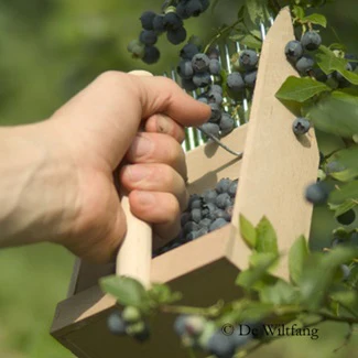 Productafbeelding 3
