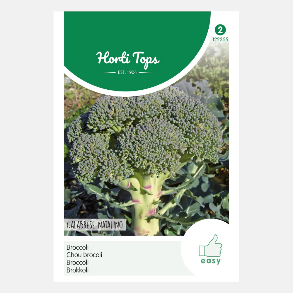 Miniatuur 1