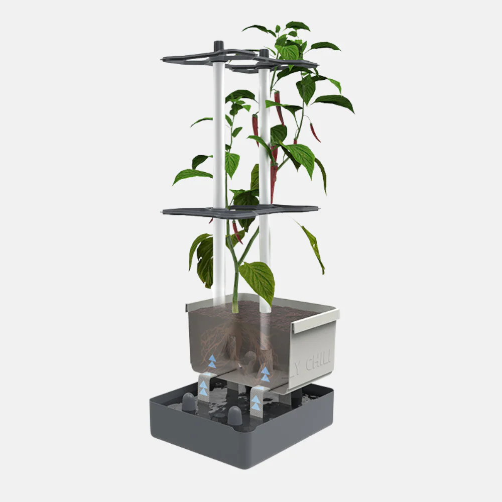 Productafbeelding 4