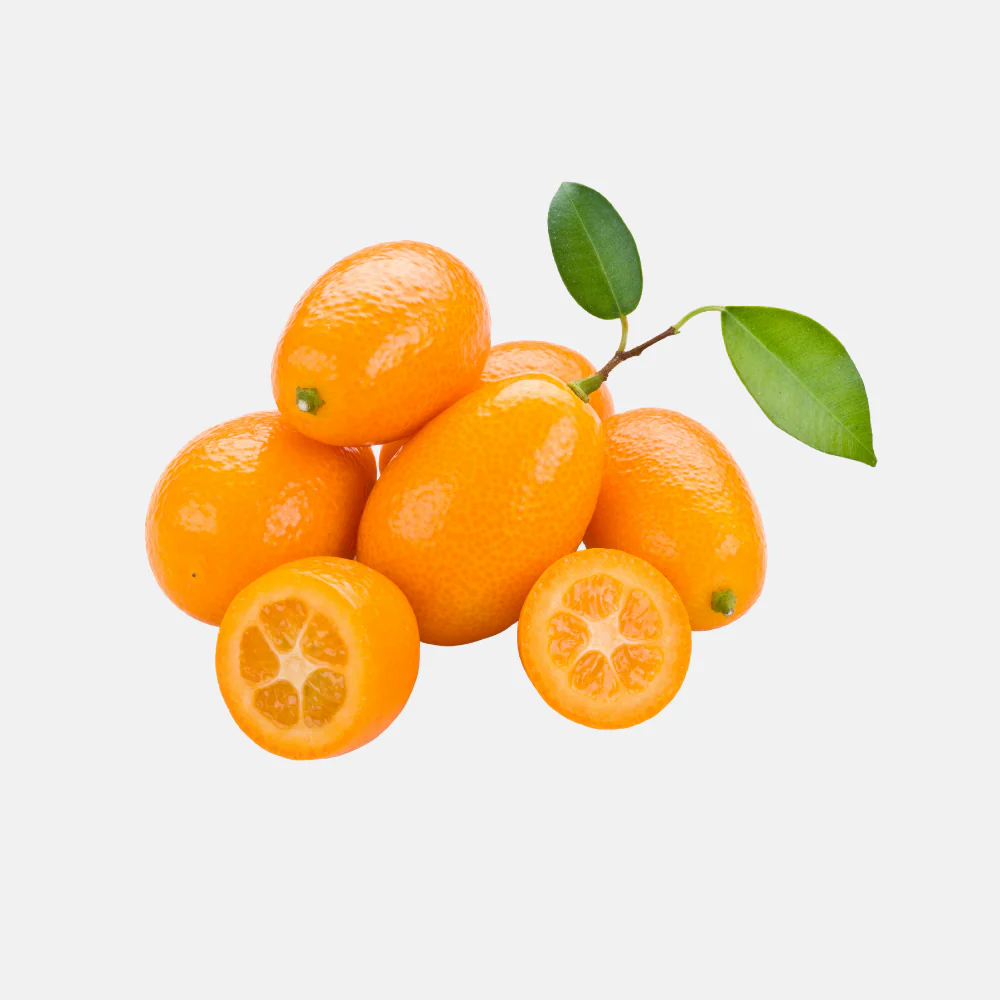 Productafbeelding 2
