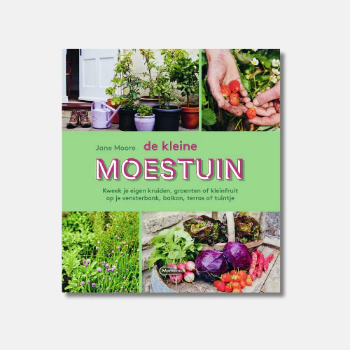 Miniatuur 1