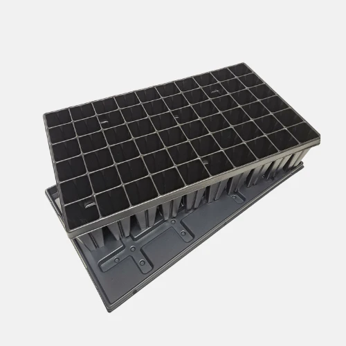 Miniatuur 2