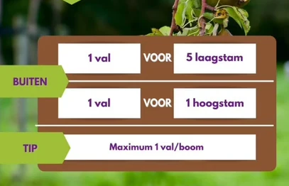 Productafbeelding 6
