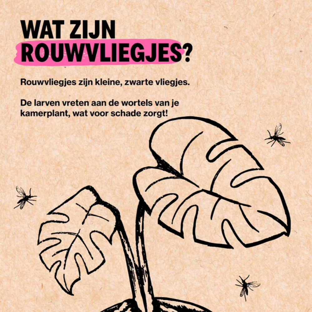 Productafbeelding 3