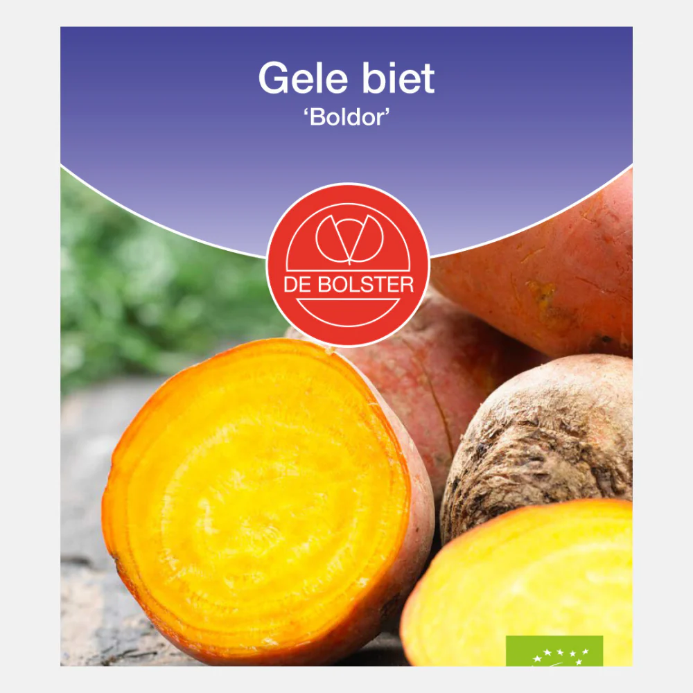 Productafbeelding 1