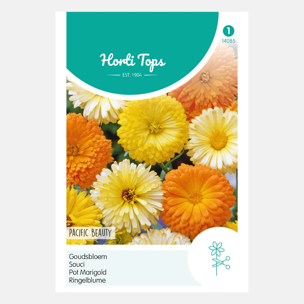 Miniatuur 1