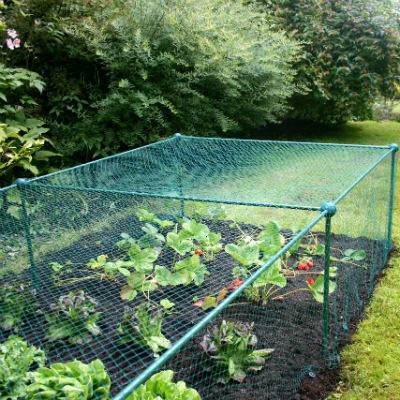 Productafbeelding 1