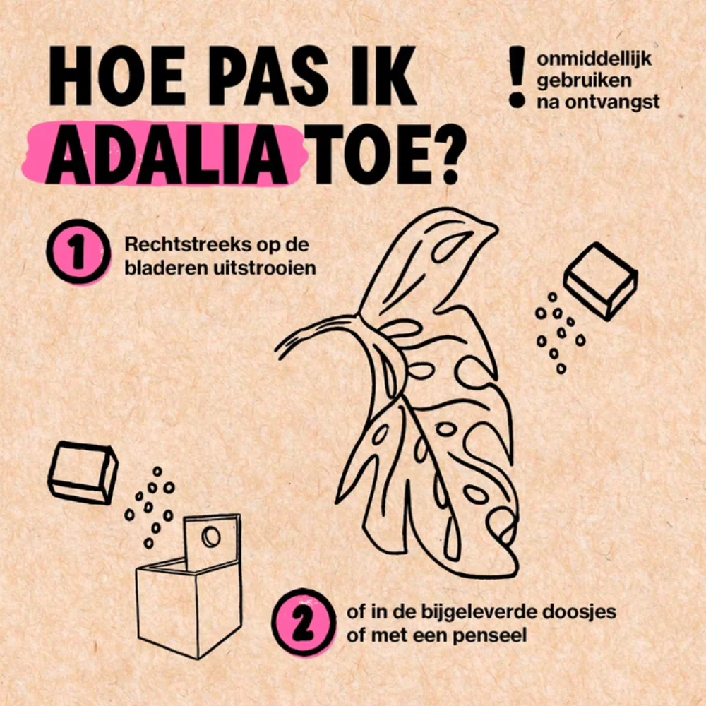 Productafbeelding 5