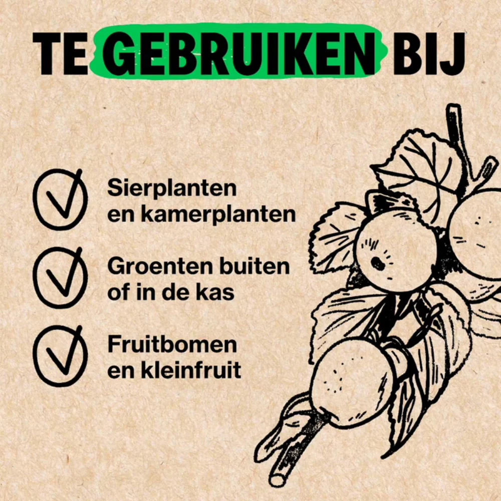 Productafbeelding 3