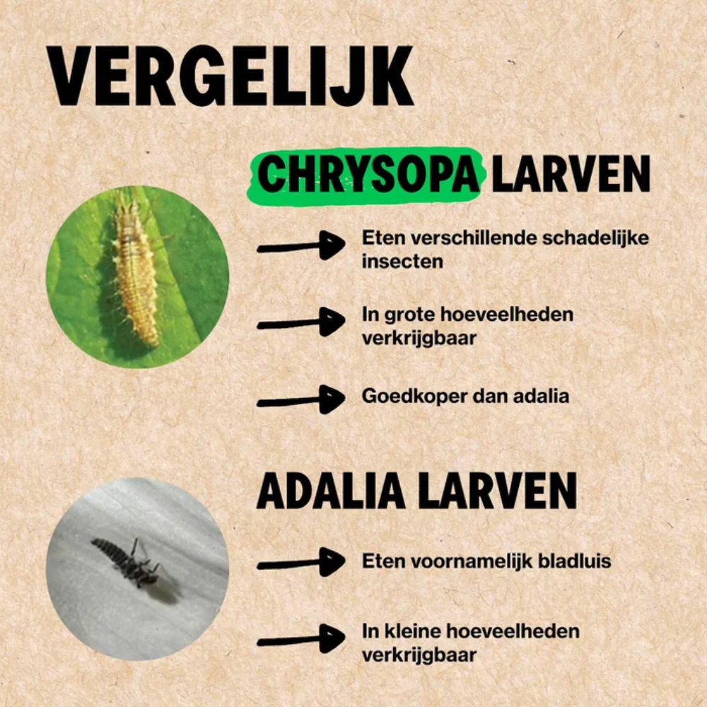 Productafbeelding 6