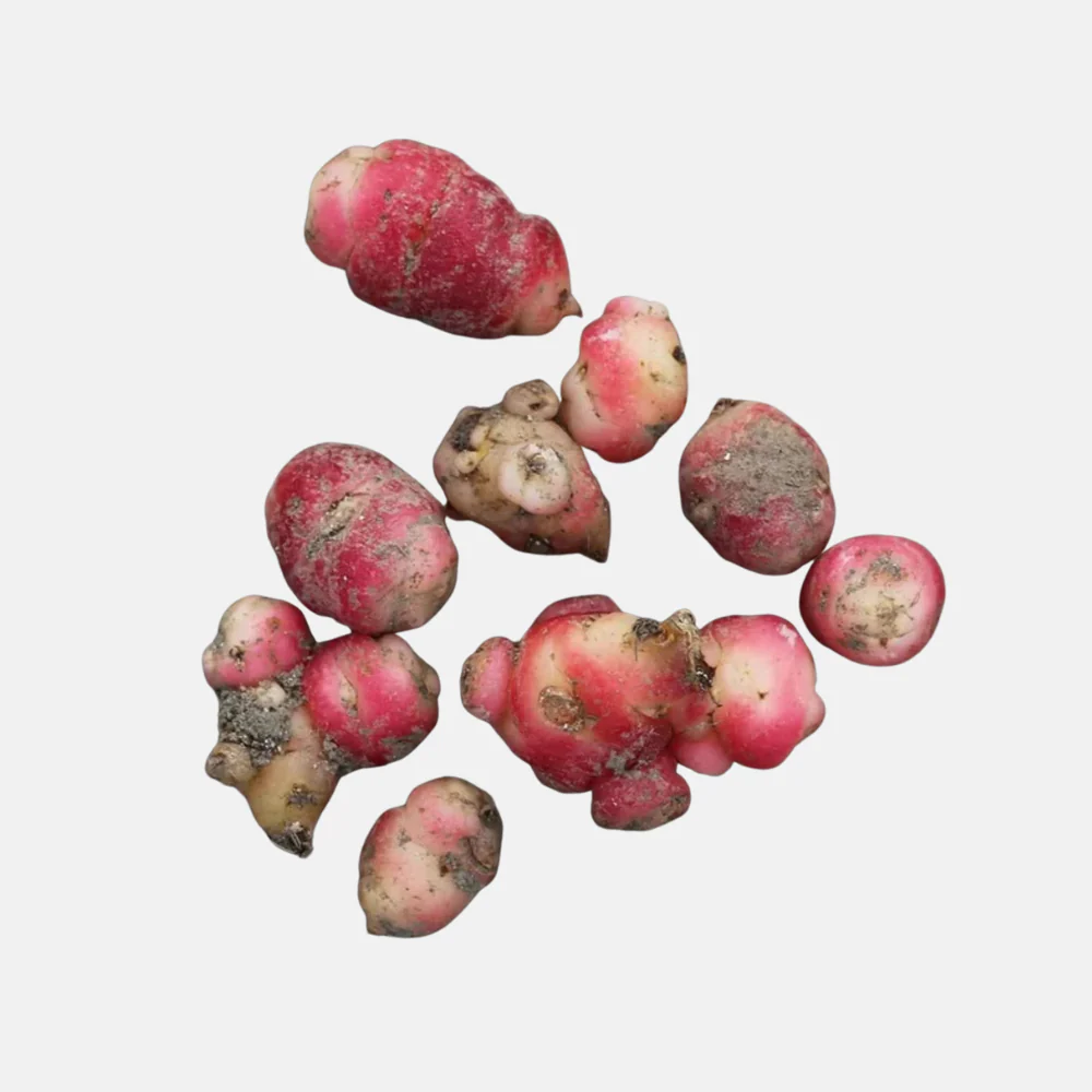 Miniatuur 2