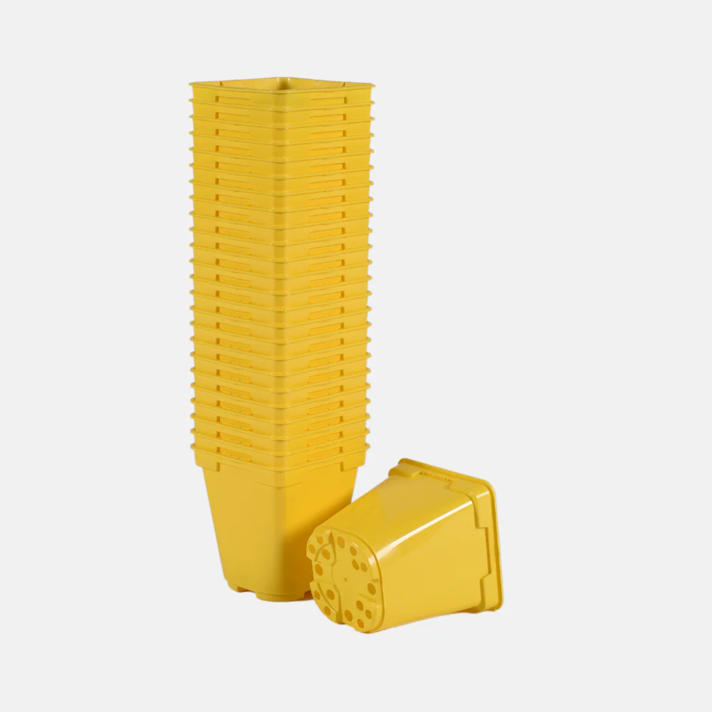 Productafbeelding 5