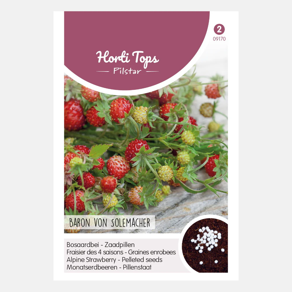 Miniatuur 1