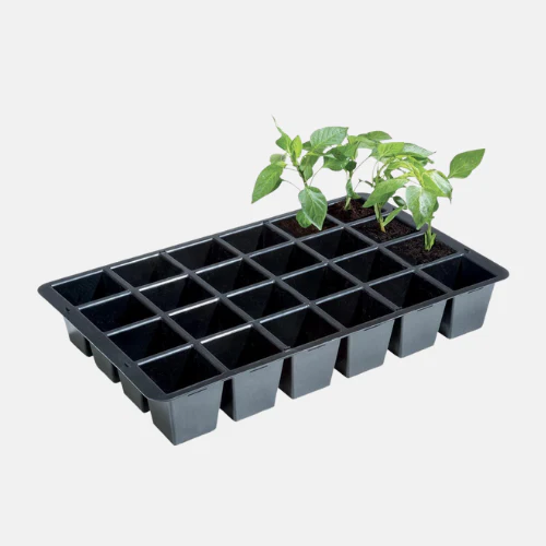 Miniatuur 2