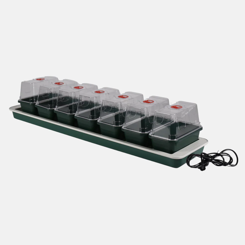 Miniatuur 2