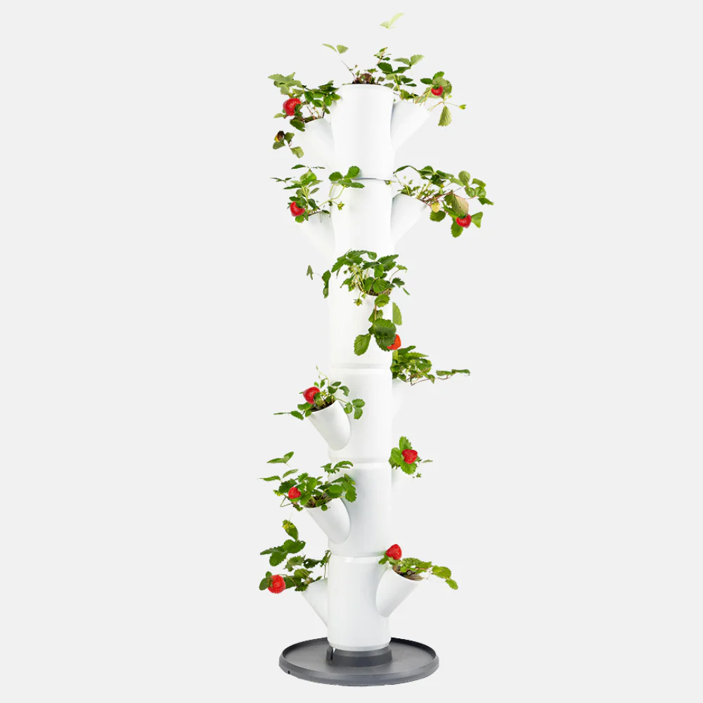 Miniatuur 1