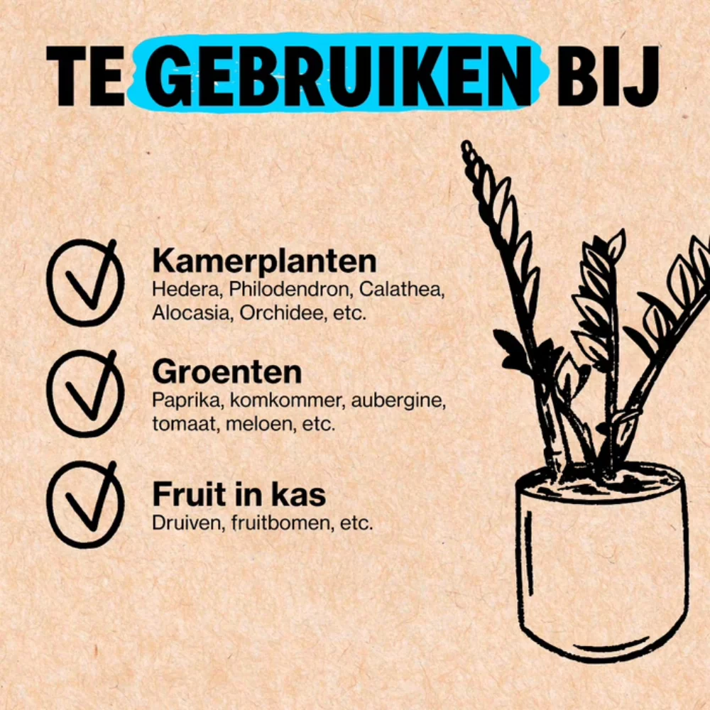 Productafbeelding 3