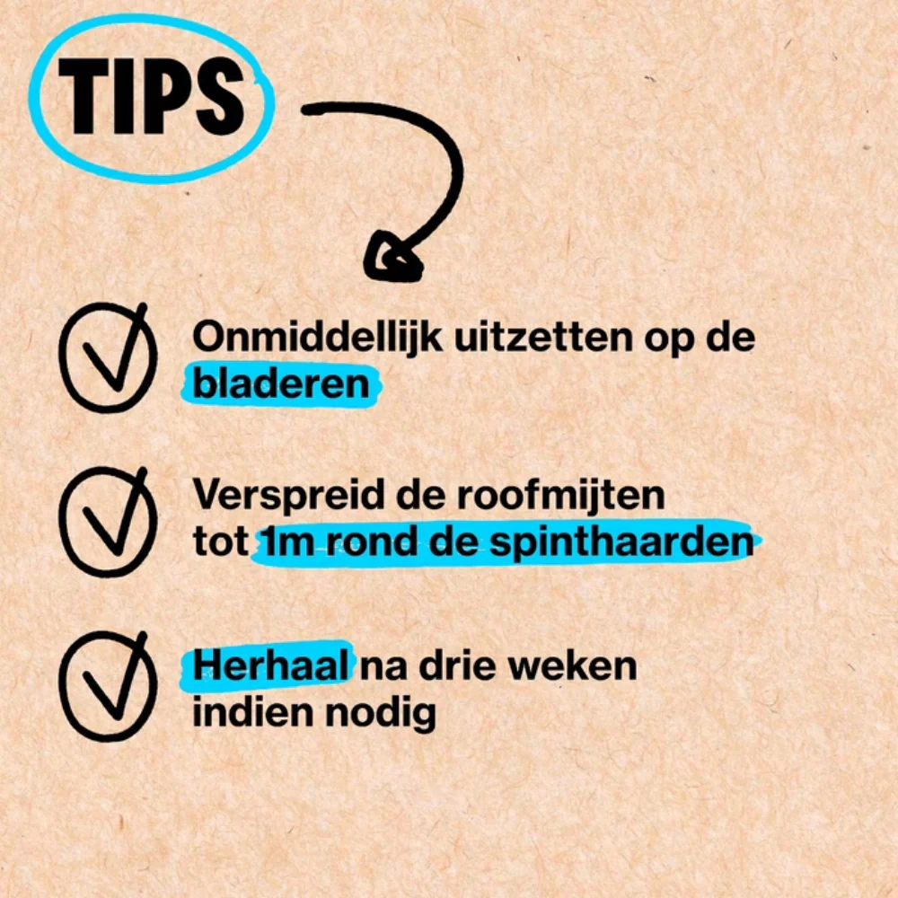 Productafbeelding 7