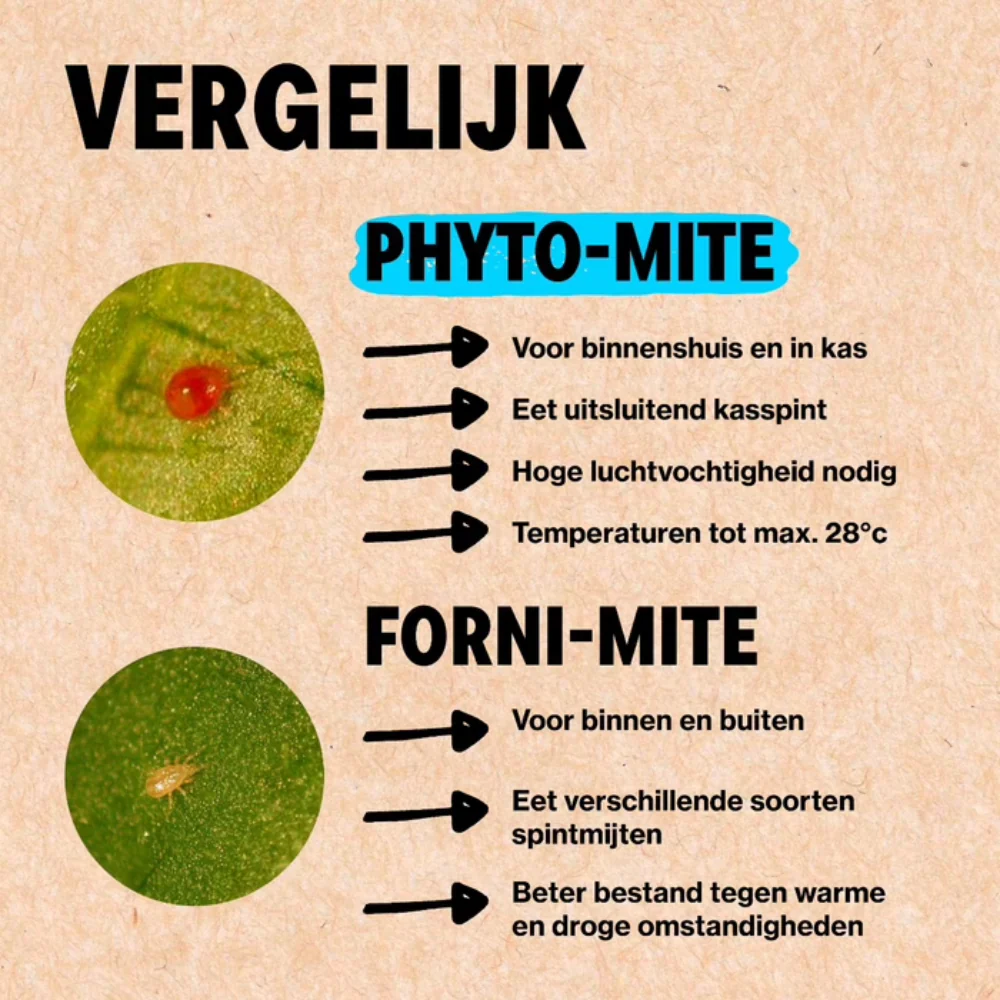 Productafbeelding 8
