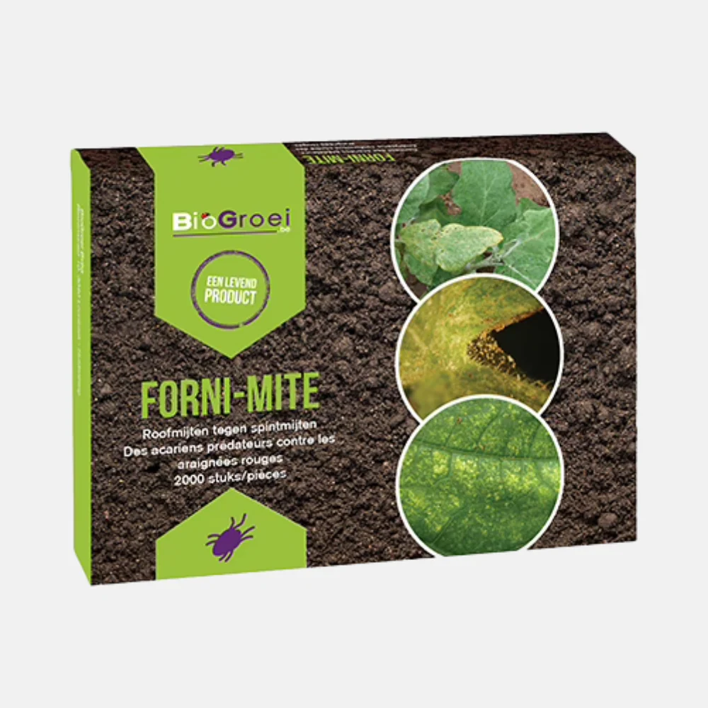 Miniatuur 1