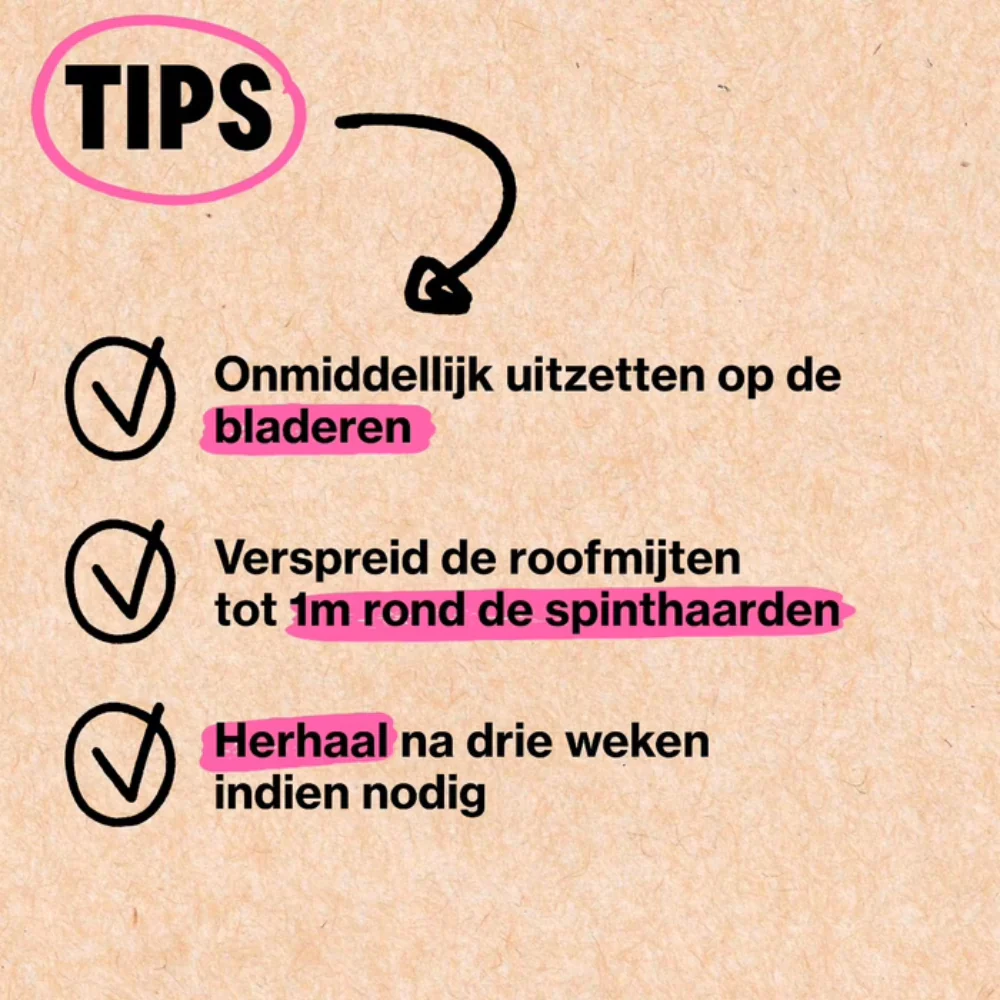 Productafbeelding 5