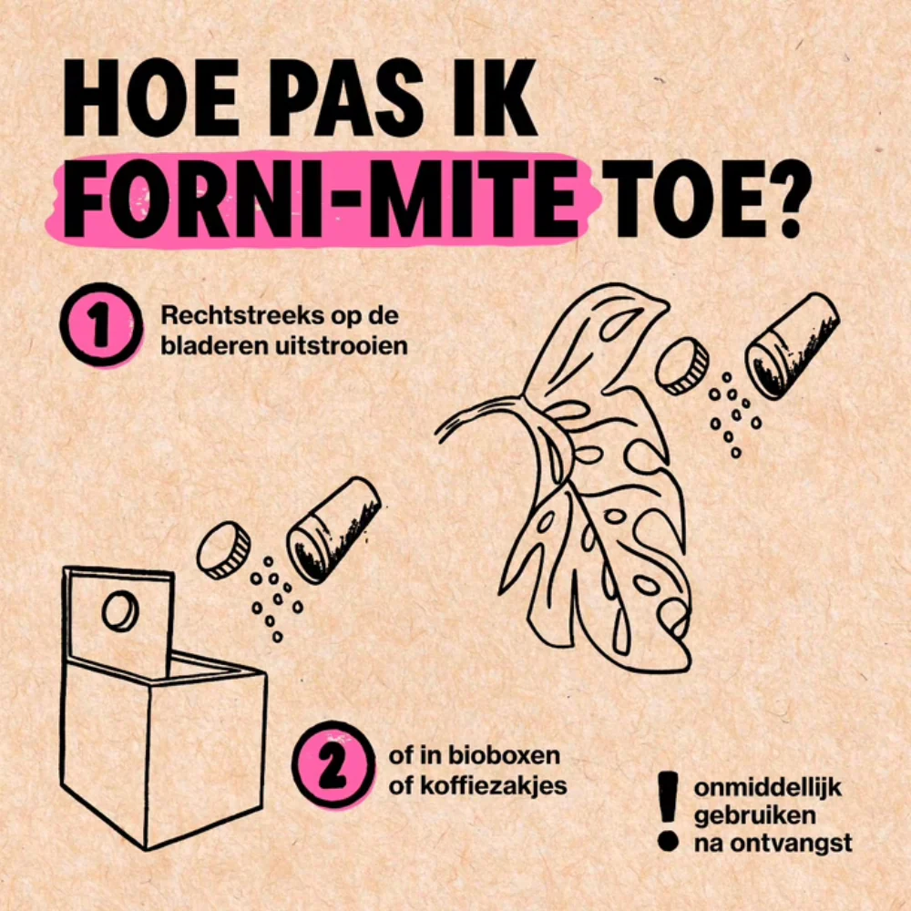 Productafbeelding 6
