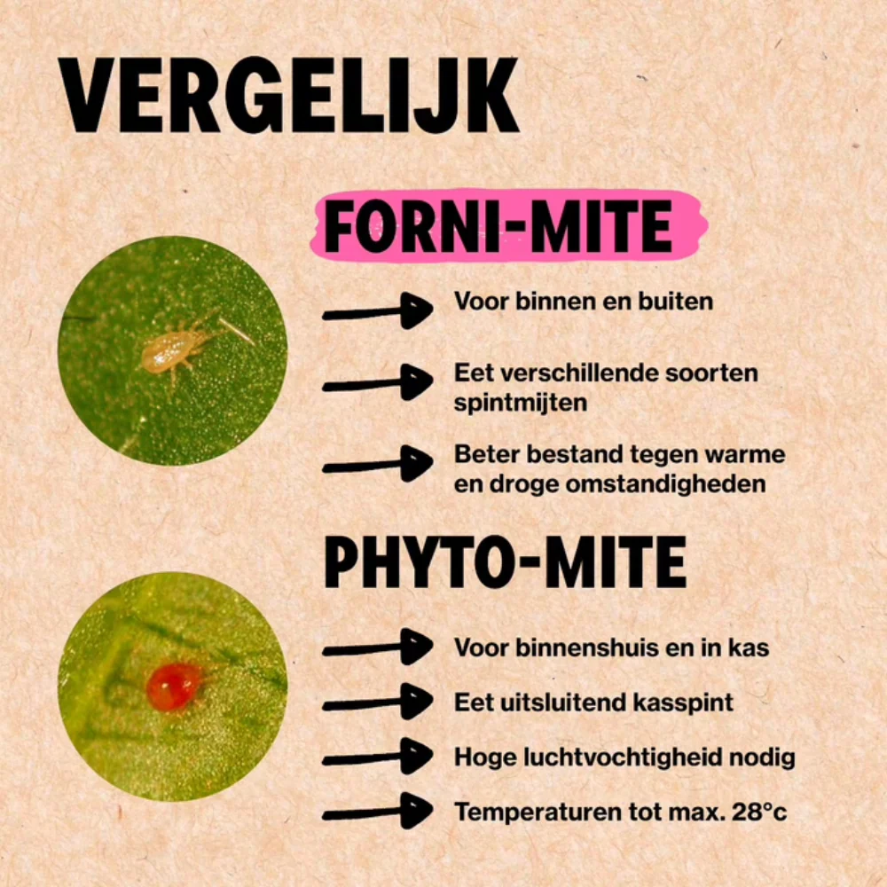 Productafbeelding 7