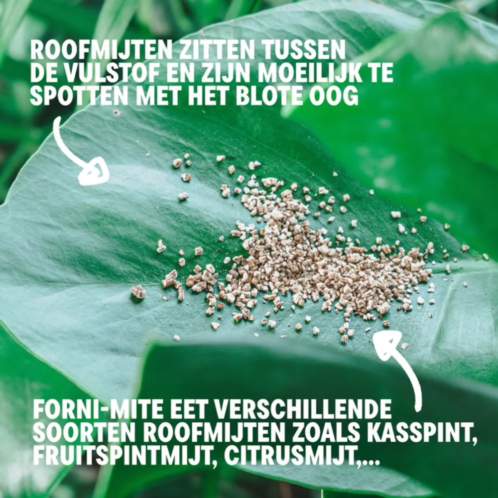 Productafbeelding 8