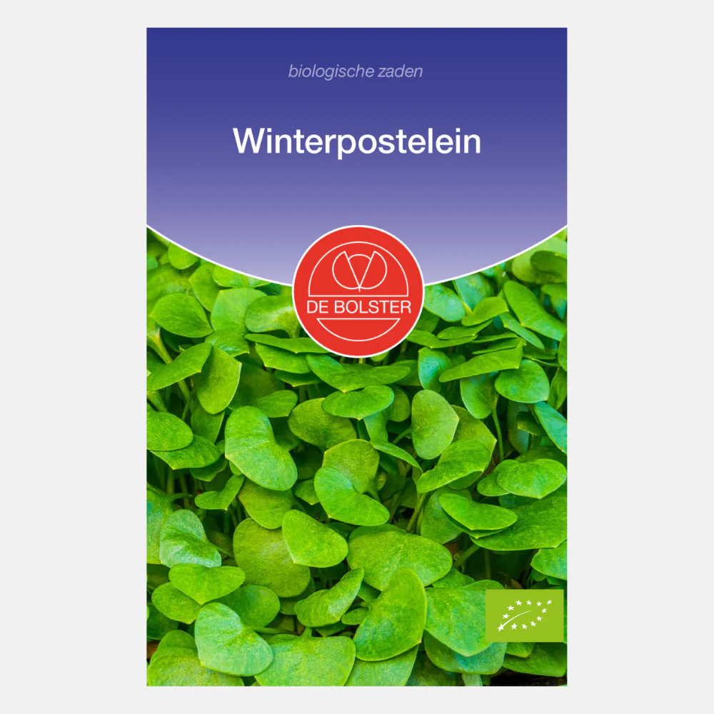 Productafbeelding 1