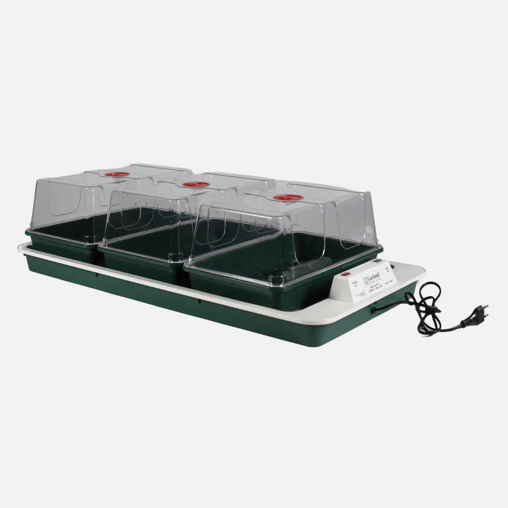 Miniatuur 2